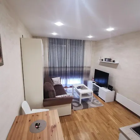 Danilovic Apartment *