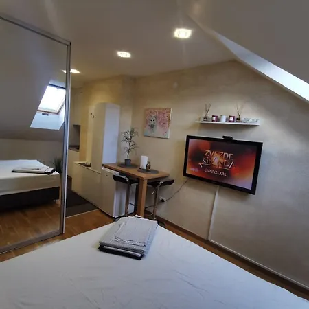 Apartment Danilovic *