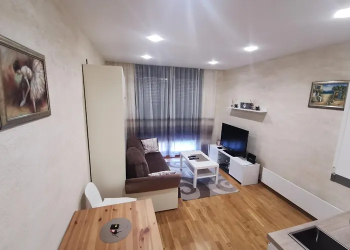 Danilovic Apartament *