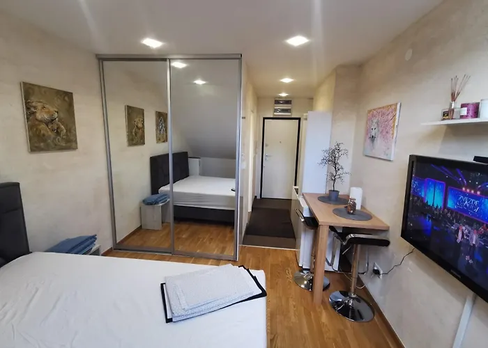 Apartament Danilovic *